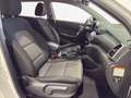 Hyundai TUCSON 1.6 CRDi 48V XPrime Techno Pack Bianco - thumbnail 15