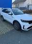 Kia Sorento 1,6 T-GDI Plug-In Hybrid GPF AWD Gold Aut. Blanc - thumbnail 9
