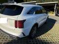 Kia Sorento 1,6 T-GDI Plug-In Hybrid GPF AWD Gold Aut. Weiß - thumbnail 4