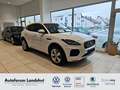 Jaguar E-Pace R-Dynamic SE P250 AWD Ambi*Leder*360*AUT Blanc - thumbnail 1