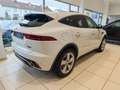 Jaguar E-Pace R-Dynamic SE P250 AWD Ambi*Leder*360*AUT Blanc - thumbnail 2