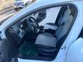 Renault Clio Clio 1.5 dci Evolution 100cv "Km Zero" Bianco - thumbnail 9
