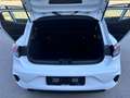 Renault Clio Clio 1.5 dci Evolution 100cv "Km Zero" Bianco - thumbnail 11