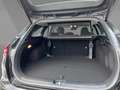 Kia Ceed SW / cee'd SW Sportswagon Spirit 1.5T DCT7 Technologie Schwarz - thumbnail 12