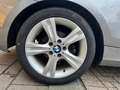 BMW 116 116i EffDyn. Ed. Business Line Ultimate Edition NA siva - thumbnail 20
