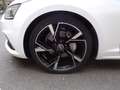 Audi A5 Sportback 190 CV Business Sport Weiß - thumbnail 13