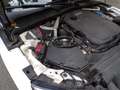 Audi A5 Sportback 190 CV Business Sport Weiß - thumbnail 48