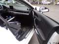 Audi A5 Sportback 190 CV Business Sport Weiß - thumbnail 36