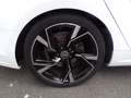 Audi A5 Sportback 190 CV Business Sport Weiß - thumbnail 17
