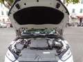Audi A5 Sportback 190 CV Business Sport Weiß - thumbnail 44