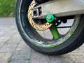 Kawasaki Ninja ZX-9R Zx9-r Green - thumbnail 11