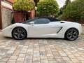 Lamborghini Gallardo Gallardo Spyder E-Gear bijela - thumbnail 7