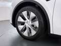 Tesla Model Y RWD Warmtepomp LFP-Accu Leer Lmv Camera's Pano-dak Blanc - thumbnail 27
