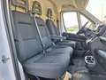 Fiat Ducato 33 2.2 Mjt 140CV PLM-TM Furgone N°GR463 Bianco - thumbnail 7