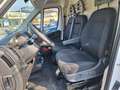 Fiat Ducato 33 2.2 Mjt 140CV PLM-TM Furgone N°GR463 Bianco - thumbnail 13
