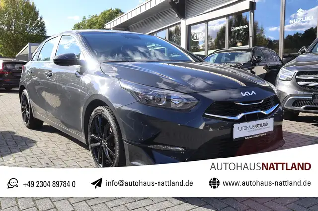 Kia cee'd / Ceed Vision 1.5 T GDI RFK DAB Navi Klimaauto.