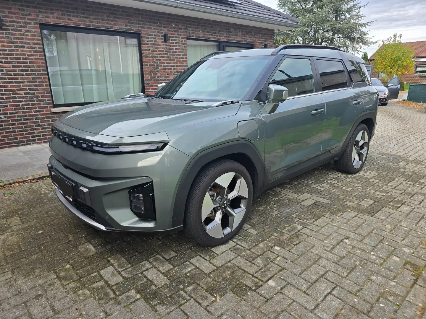 KGM Torres Grün - 1