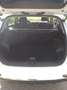 Kia Sportage Sportage+IV+2021+1.6+crdi+Urban+2wd+115cv Bianco - thumbnail 8