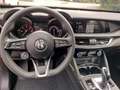 Alfa Romeo Stelvio 2.2 Turbodiesel 190 CV AT8 Q4 Business Grigio - thumbnail 14