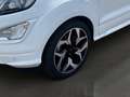 Ford EcoSport ST-Line EU6d 125PS Navigation/ Winter-Paket/ Totwi Weiß - thumbnail 7