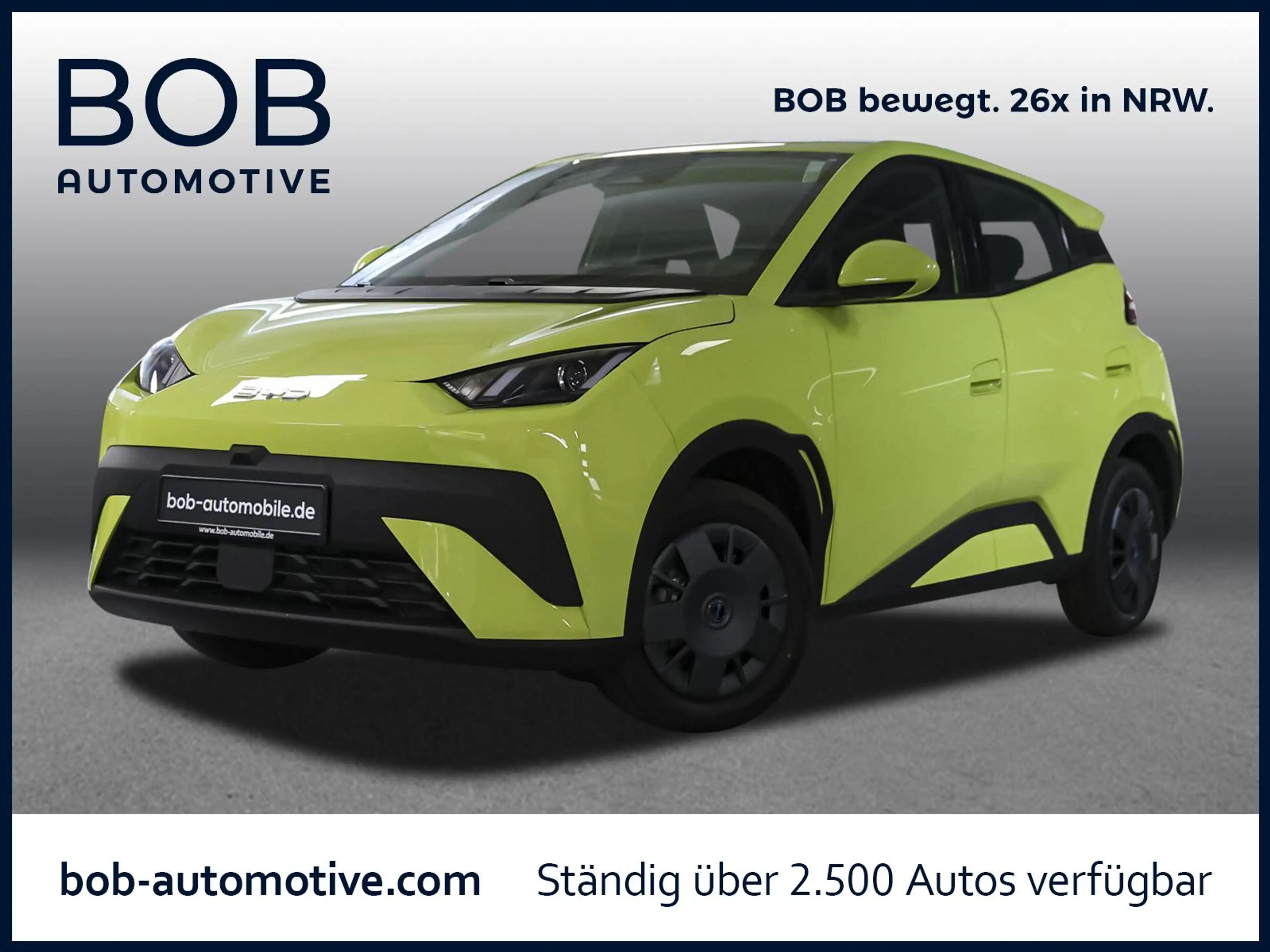 BYD Dolphin SURF Active NAVI PDC KLIMA BT SERVO USB