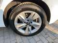 Volkswagen Golf VIII 1.5 TSI Life Navi LED SHZ PDC Weiß - thumbnail 12