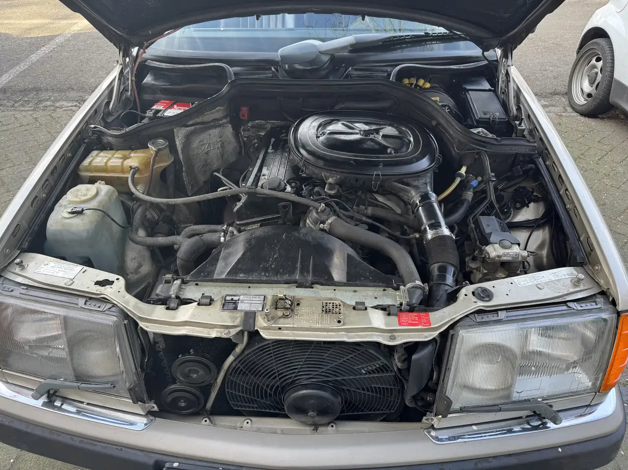 Mercedes-Benz CE 230 Sport 230ce, foto 5