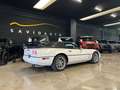 Corvette C4 C4 CABRIO - cabriolet - 5.7 MANUALE - thumbnail 6