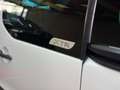 Citroen Berlingo XTR Behindertengerecht-Rampe - thumbnail 9