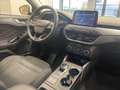 Ford Focus Turnier Active*AUT./Navi/Einparkhilfe/ALU* Blanc - thumbnail 11