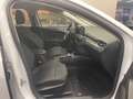 Ford Focus Turnier Active*AUT./Navi/Einparkhilfe/ALU* Blanc - thumbnail 20