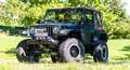 Jeep Wrangler Sahara 4.0 TJ Softtop *ASP*Winde*Bügel* Vert - thumbnail 1