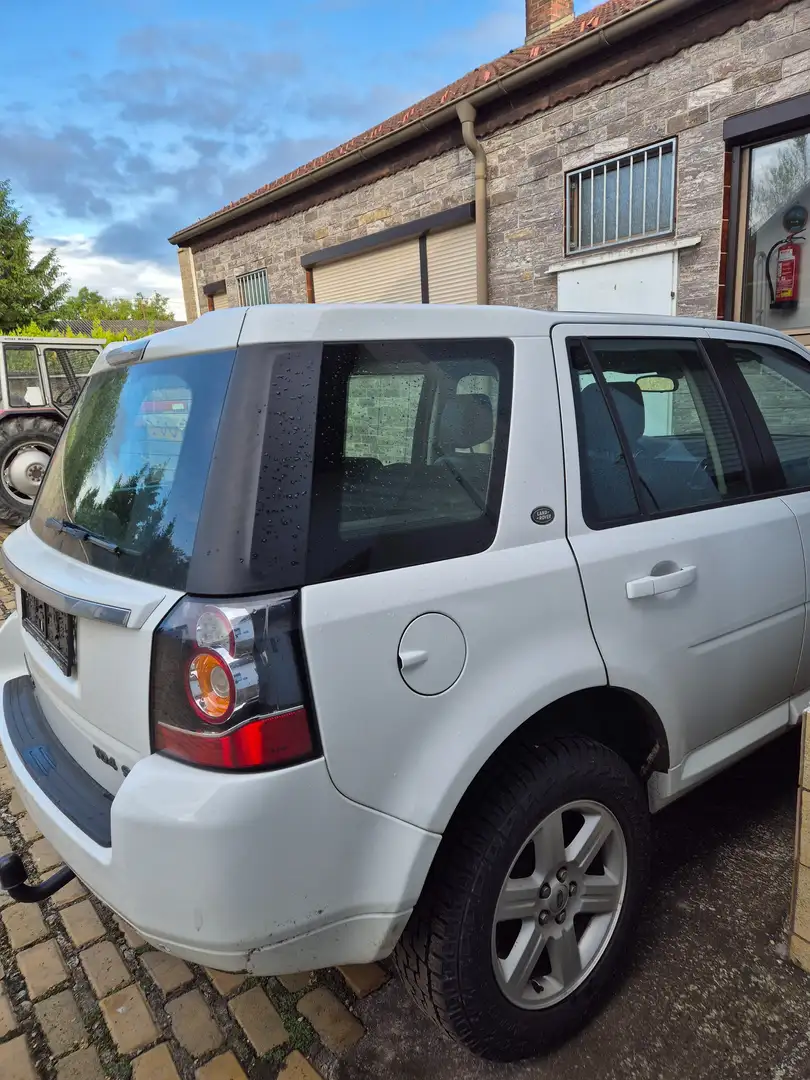 Land Rover Freelander 2,2 TD4 SE DPF Aut. Weiß - 2