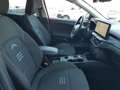 Ford Focus Active SW 1.5 ecoblue Design 115cv auto Gris - thumbnail 25