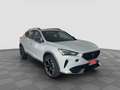 CUPRA Formentor Formentor 1.5 TSI Bianco - thumbnail 7