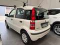 Fiat Panda Panda 1.3 mjt 16v Active 75cv Bianco - thumbnail 3