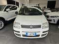 Fiat Panda Panda 1.3 mjt 16v Active 75cv Bianco - thumbnail 2