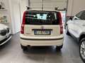 Fiat Panda Panda 1.3 mjt 16v Active 75cv Bianco - thumbnail 5