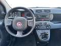 Fiat Panda 1.0 FireFly S&S Hybrid Grigio - thumbnail 10
