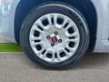 Fiat Panda 1.0 FireFly S&S Hybrid Grigio - thumbnail 8