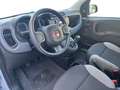 Fiat Panda 1.0 FireFly S&S Hybrid Grigio - thumbnail 9