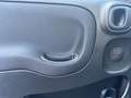 Fiat Panda 1.0 FireFly S&S Hybrid Grigio - thumbnail 13