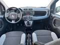 Fiat Panda 1.0 FireFly S&S Hybrid Grigio - thumbnail 11