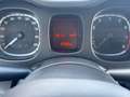 Fiat Panda 1.0 FireFly S&S Hybrid Grigio - thumbnail 12