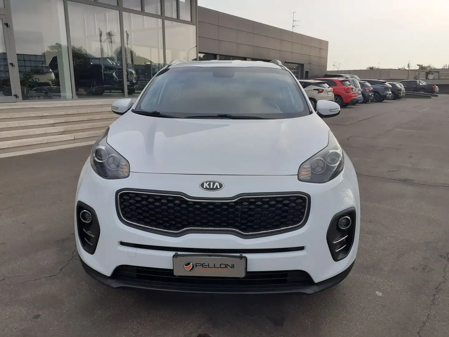 Kia Sportage 1.7 CRDI VGT 2WD KM CERTIFIC-GARANZIA-1°PROP Bianco - 2