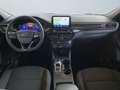 Ford Kuga III 2020 - Kuga 2.5 full hybrid ST-Line 2wd 190cv Bianco - thumbnail 12