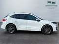 Ford Kuga III 2020 - Kuga 2.5 full hybrid ST-Line 2wd 190cv Bianco - thumbnail 4