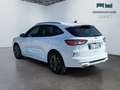 Ford Kuga III 2020 - Kuga 2.5 full hybrid ST-Line 2wd 190cv Bianco - thumbnail 7