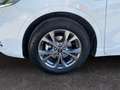 Ford Kuga III 2020 - Kuga 2.5 full hybrid ST-Line 2wd 190cv Bianco - thumbnail 16