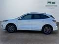Ford Kuga III 2020 - Kuga 2.5 full hybrid ST-Line 2wd 190cv Bianco - thumbnail 8